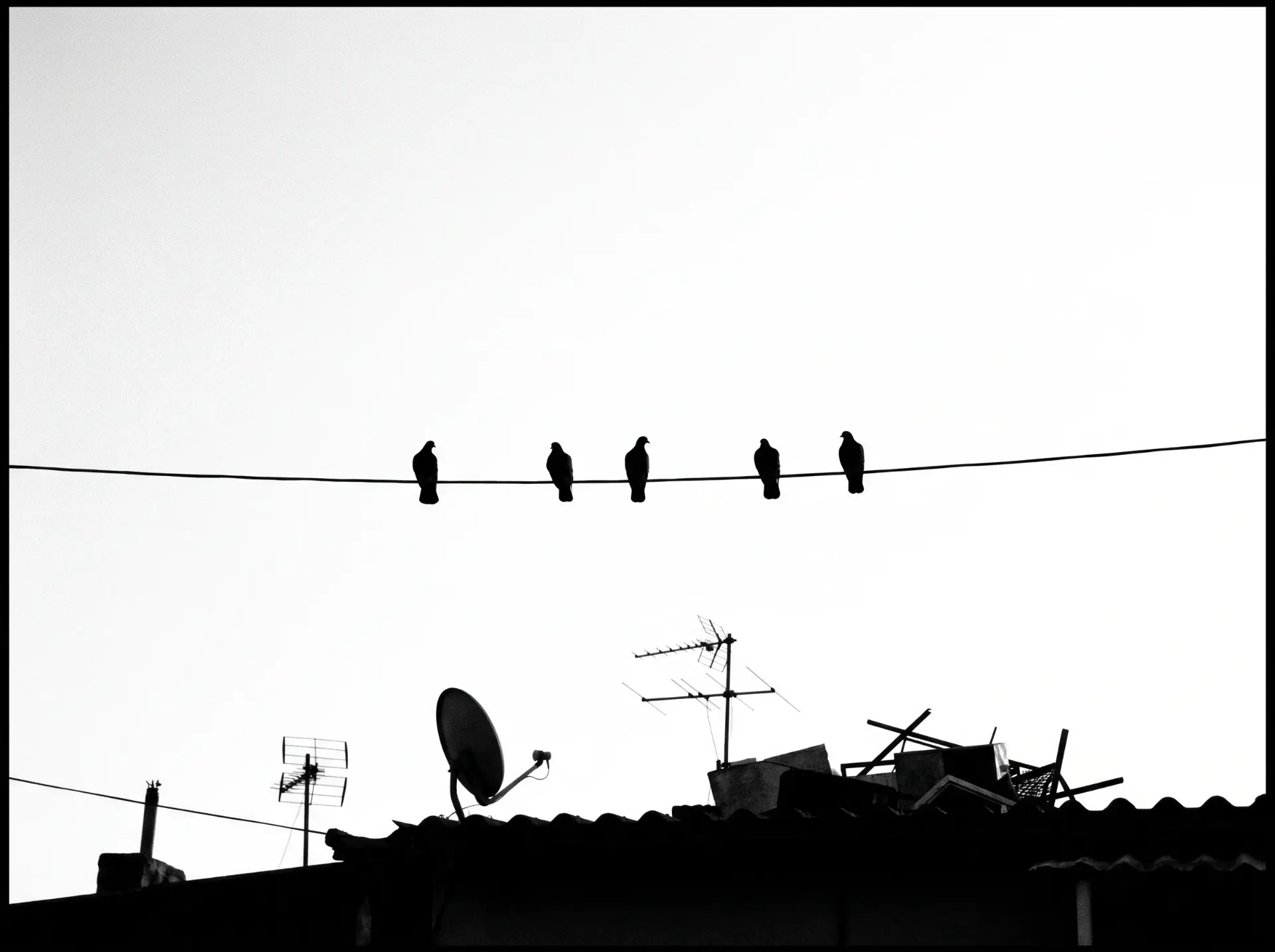 Five birds on a wire above rooftop antennas